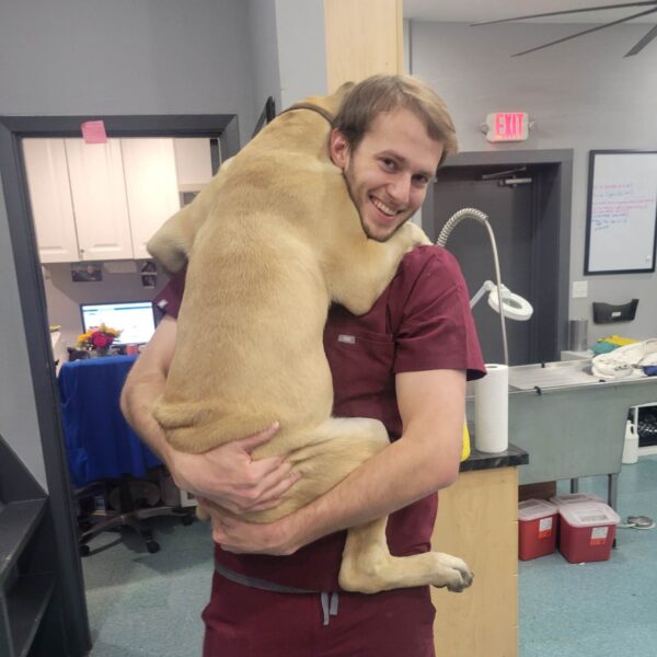 Little Veterinary Paws Boarding